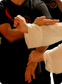 SIfu Bernd Wagner